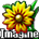 Icona del software Imagine Icona del software Imagine
