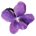 Icona del software Violet UML Editor Icona del software Violet UML Editor