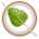 Icona del software Bodhi Linux Icona del software Bodhi Linux