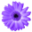 Icona del software Artweaver Icona del software Artweaver