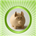 Icona del software Homemoney Icona del software Homemoney