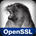 Icona del software OpenSSL Icona del software OpenSSL