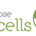 Icona del software Aspose.Cells for Cloud Icona del software Aspose.Cells for Cloud