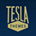 Icona del software TeslaThemes Icona del software TeslaThemes