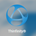 Icona del software Thinfinity Remote Desktop Server Icona del software Thinfinity Remote Desktop Server
