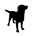 Icona del software Updog Icona del software Updog