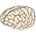 Icona del software Voc2brain Icona del software Voc2brain