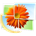 Icona del software Windows Live Photo Gallery Icona del software Windows Live Photo Gallery