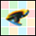Icona del software Wink Icona del software Wink